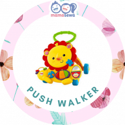 Push Walker